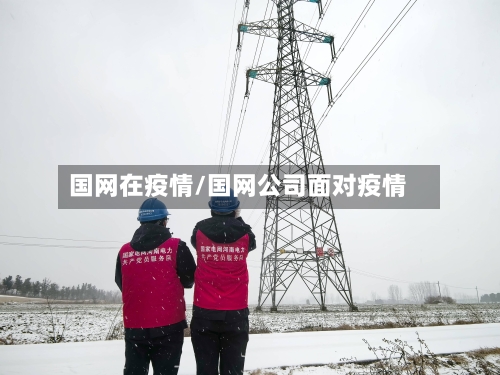国网在疫情/国网公司面对疫情-第2张图片