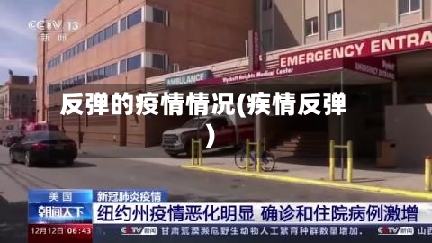 反弹的疫情情况(疾情反弹)-第2张图片