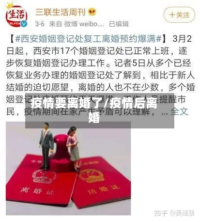 疫情要离婚了/疫情后离婚