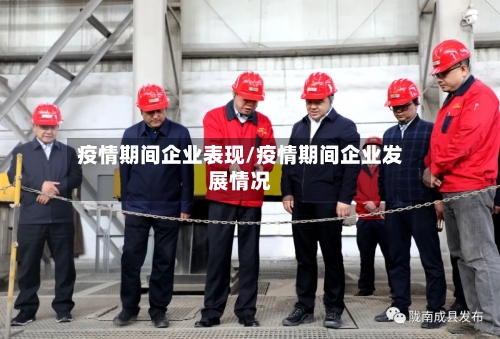 疫情期间企业表现/疫情期间企业发展情况