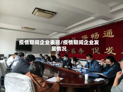疫情期间企业表现/疫情期间企业发展情况-第3张图片