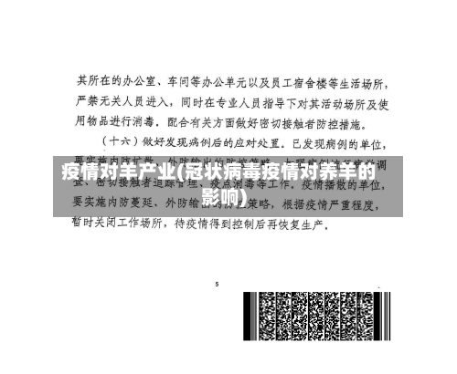 疫情对羊产业(冠状病毒疫情对养羊的影响)-第2张图片