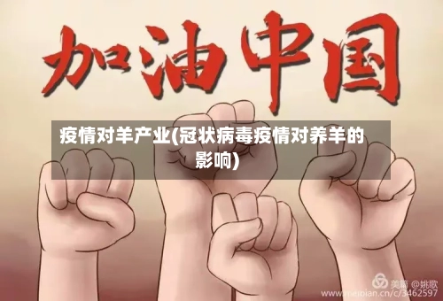 疫情对羊产业(冠状病毒疫情对养羊的影响)-第3张图片