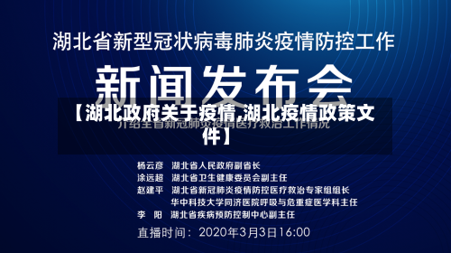 【湖北政府关于疫情,湖北疫情政策文件】