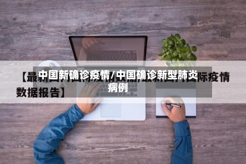 中国新确诊疫情/中国确诊新型肺炎病例
