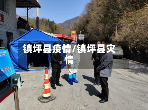 镇坪县疫情/镇坪县灾情-第2张图片