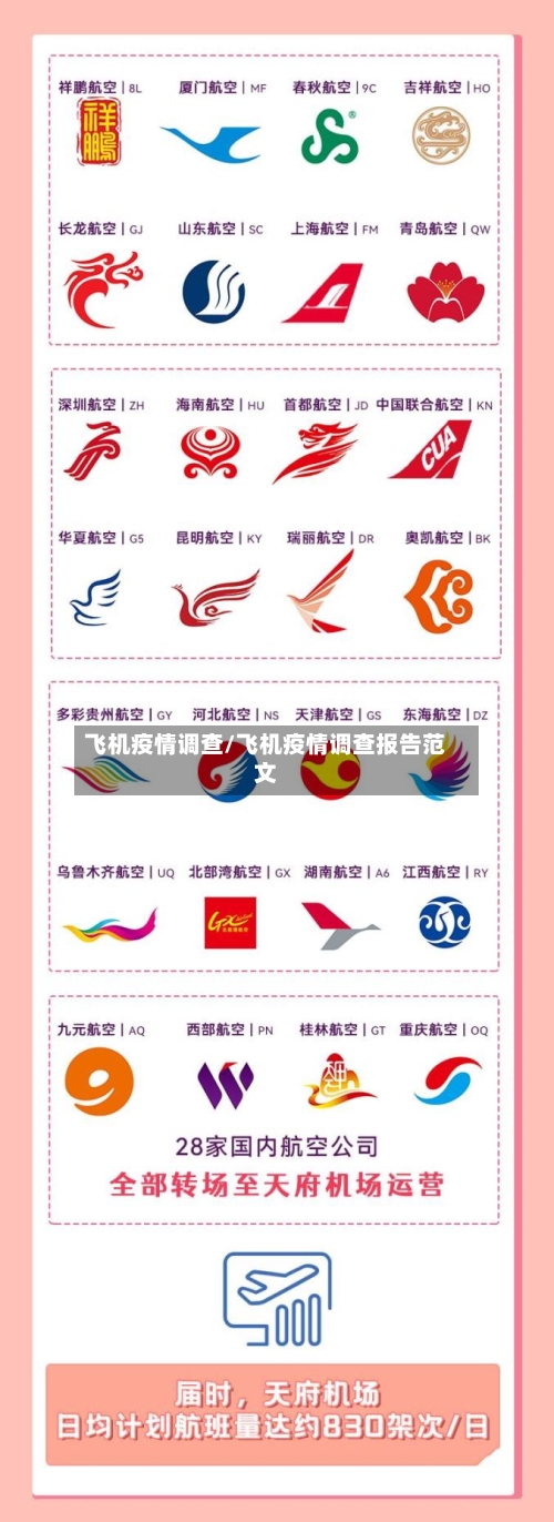 飞机疫情调查/飞机疫情调查报告范文-第2张图片