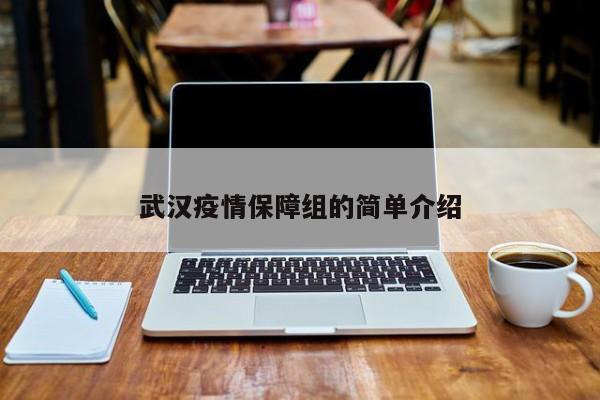 武汉疫情保障组的简单介绍