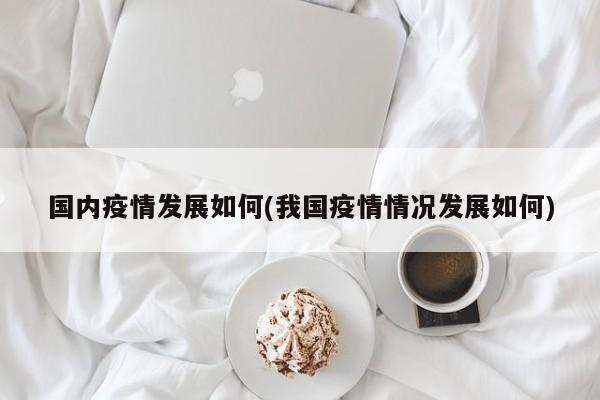 国内疫情发展如何(我国疫情情况发展如何)